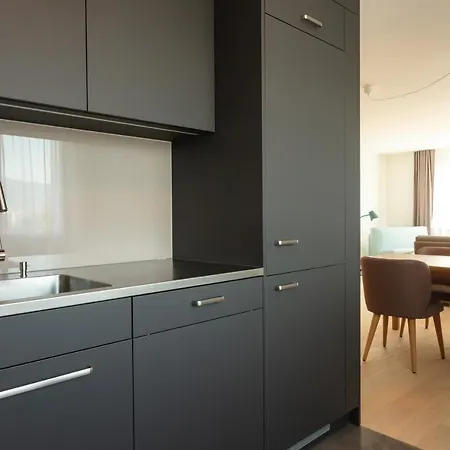 公寓 Ema House Serviced Superior Downtown *
