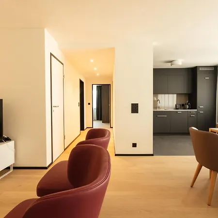 Ema House Serviced Superior Downtown Curych